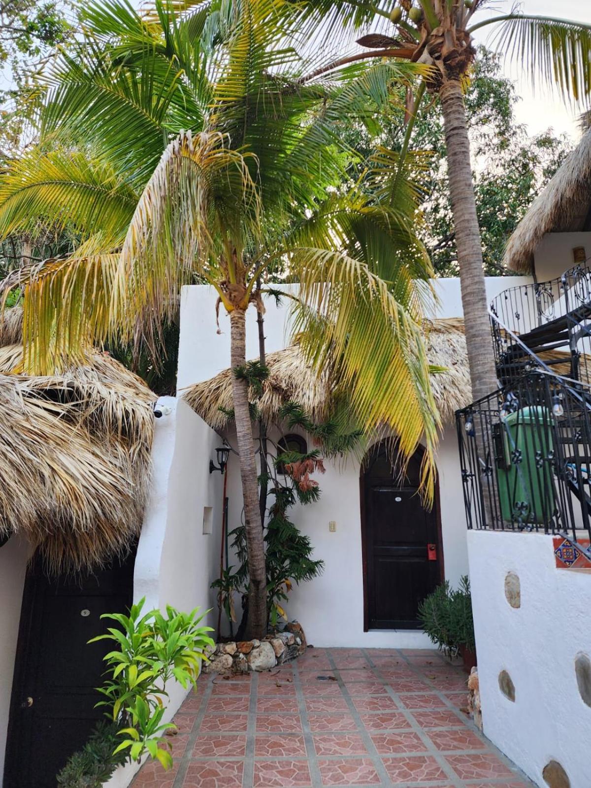 ホテル Esencia Puerto Escondido プエルト・エスコンディード エクステリア 写真