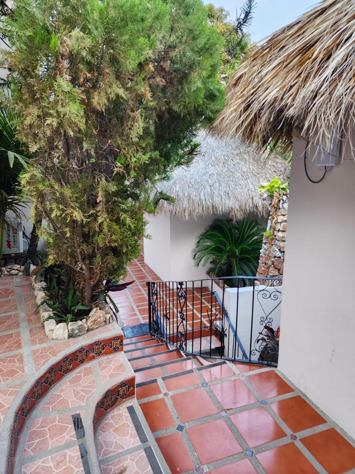 ホテル Esencia Puerto Escondido プエルト・エスコンディード エクステリア 写真